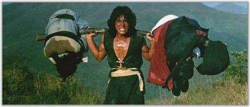 少林木人巷的演员，少林木人巷的演员表图片（从跑龙套的陈元龙到大哥成龙）