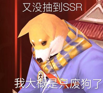 阴阳师ssr画符抽卡技巧，阴阳师抽卡怎么画符（先戳进来把这些学会了）