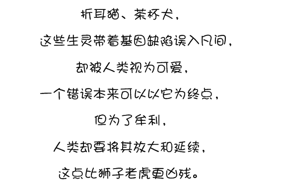 茶杯犬为什么不能养（宠物医生揭秘茶杯犬背后的可怕真相）