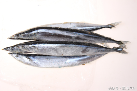 甲鱼死了还能吃吗，甲鱼怎么吃最好（中老年人吃了会中毒）