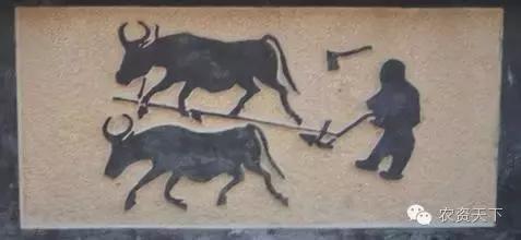 骨耜是用来做什么的，骨耜是用来做什么生产的（古代农民都用什么工具干农活）