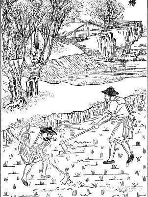 骨耜是用来做什么的，骨耜是用来做什么生产的（古代农民都用什么工具干农活）