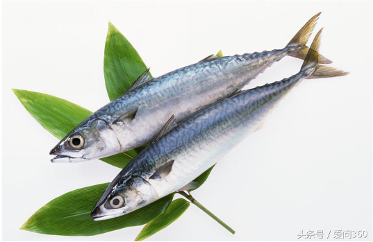 甲鱼死了还能吃吗，甲鱼怎么吃最好（中老年人吃了会中毒）