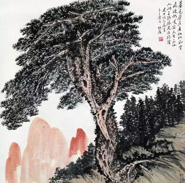 画集是什么，画册是什么样子的（画语别解：画语是什么）