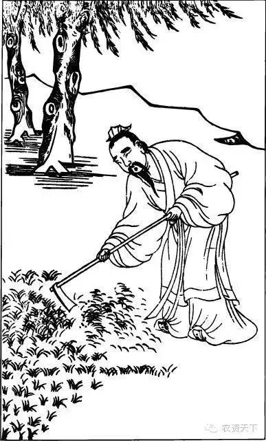 骨耜是用来做什么的，骨耜是用来做什么生产的（古代农民都用什么工具干农活）