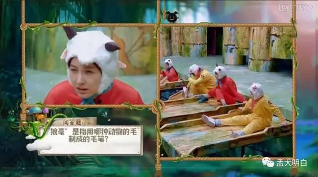 蟋蟀的耳朵长在哪里，蟋蟀的耳朵为什么长在脚上（这个儿童益智节目让欧弟、吴昕、撒贝宁都智商掉线）