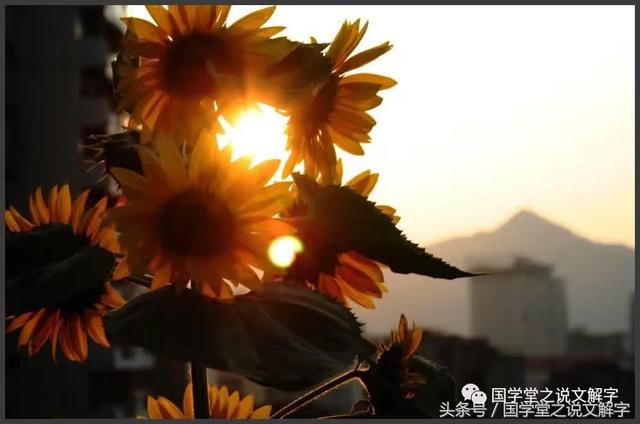 丕怎么读，砼怎么读（不、丕、否、歪、孬、覔、甭、）