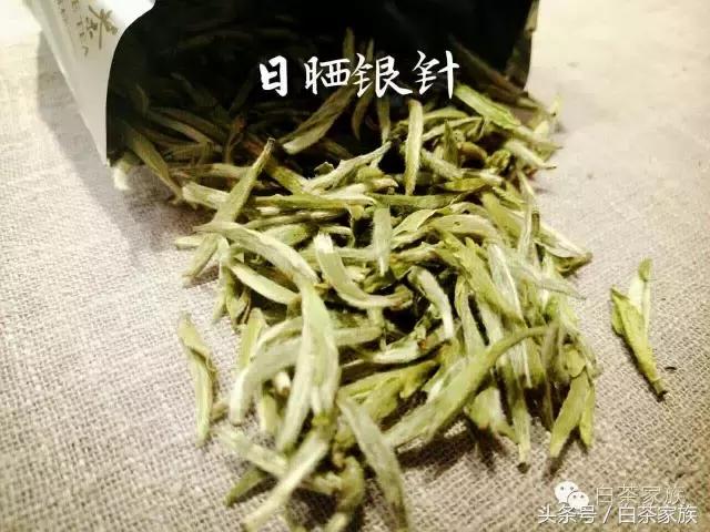 白毫银针的功效和作用，白毫银针茶的功效与作用（原来白毫银针还有这种功效）
