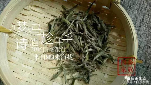 白毫银针的功效和作用，白毫银针茶的功效与作用（原来白毫银针还有这种功效）