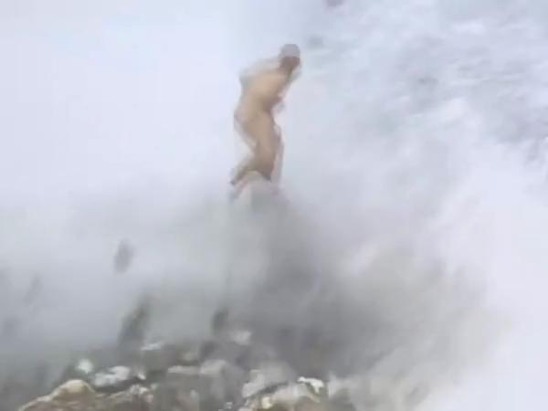 猴子是禽类还是兽类，猴子是野兽类动物吗（孙悟空为何既是胎生也是卵生）