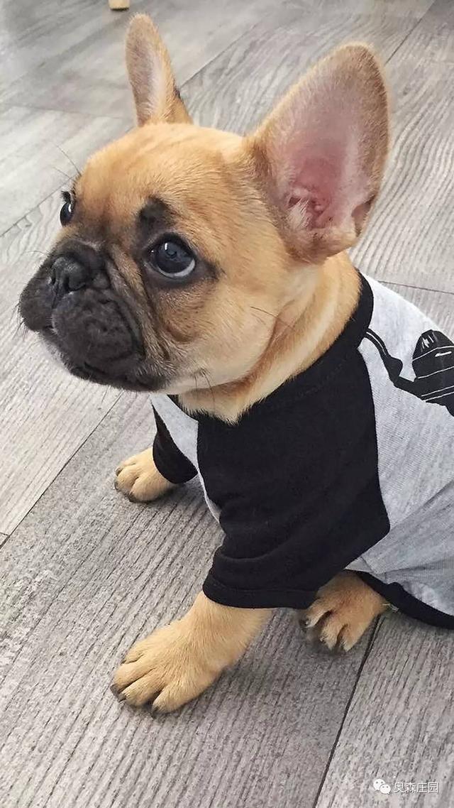 gta5云存档，正版GTA5如何读取云存档（GTA5）