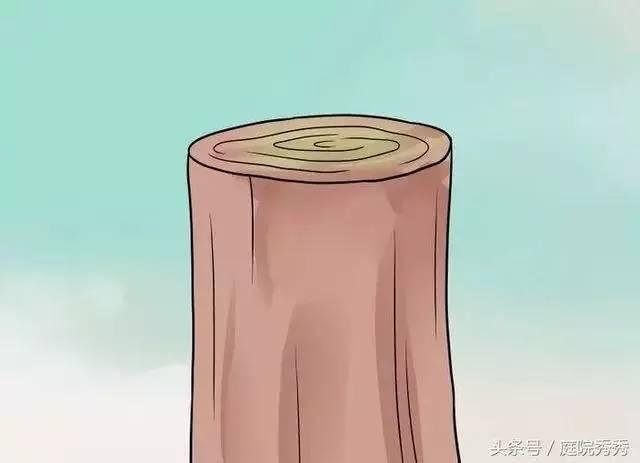 嫁接树苗的方法和技术，苗木嫁接与培育技术（果树最常用的5种嫁接方法！）