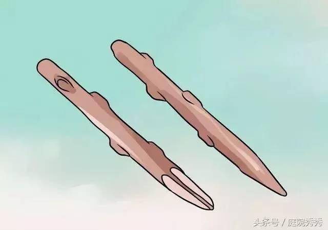 嫁接树苗的方法和技术，苗木嫁接与培育技术（果树最常用的5种嫁接方法！）