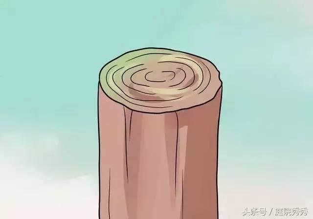 嫁接树苗的方法和技术，苗木嫁接与培育技术（果树最常用的5种嫁接方法！）