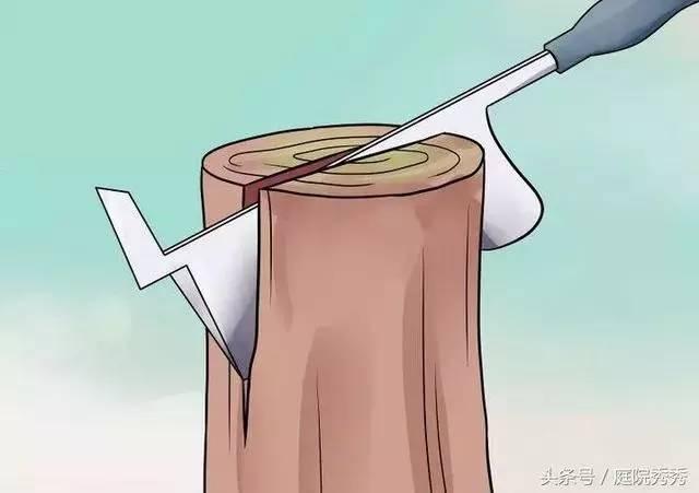 嫁接树苗的方法和技术，苗木嫁接与培育技术（果树最常用的5种嫁接方法！）