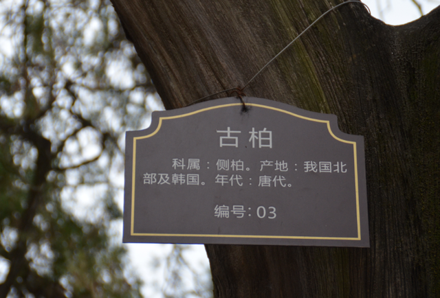 风水学的古称，易经风水学基础知识（你一定不懂上善若水的真实含义）