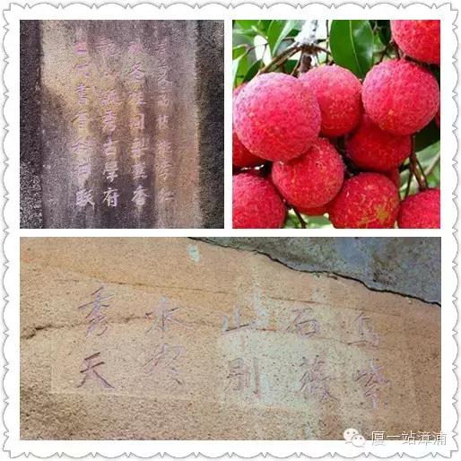 漳浦千年历史的黑面妈祖金像,漳浦妈祖真身(穿越千年的金身——乌石妈祖) 漳浦千年历史的黑面妈祖金像,漳浦妈祖真身(穿越千年的金身——乌石妈祖)