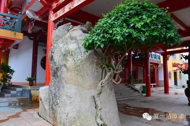 漳浦千年历史的黑面妈祖金像,漳浦妈祖真身(穿越千年的金身——乌石妈祖) 漳浦千年历史的黑面妈祖金像,漳浦妈祖真身(穿越千年的金身——乌石妈祖)