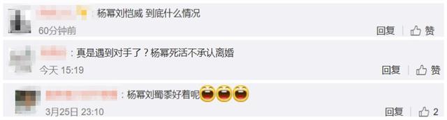 刘恺威演的电视剧，刘恺威和蒋欣演的啥电视剧（却没有一部话题度超过杨幂的）