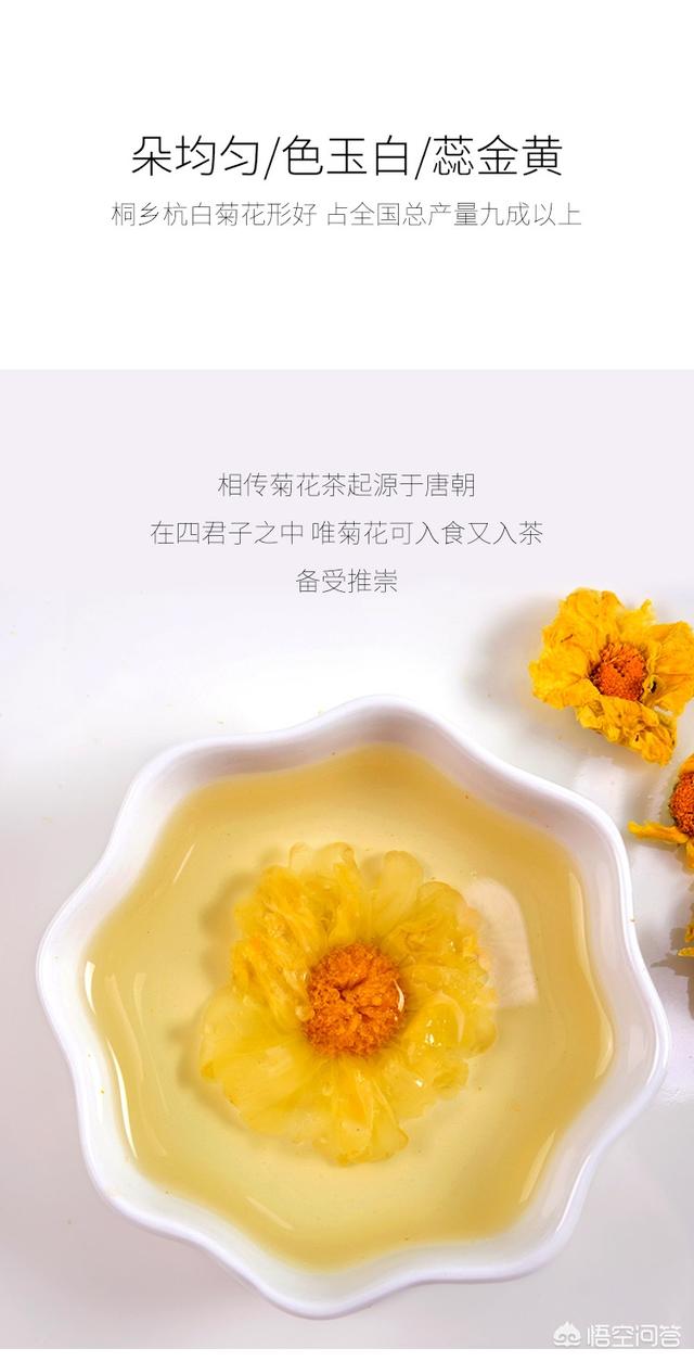 杭菊和杭白菊的功效，杭白菊和白菊花的功效（夏季养生花茶贡菊、胎菊、杭白菊如何挑选）