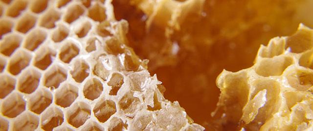 蜂胶的功效，蜂胶的功效与禁忌（蜂胶有哪些营养和功效成分）