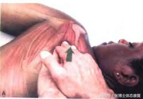 肩膀拉伤怎么恢复，肩部肌肉拉伤怎么办（肩关节受伤后的康复训练方法你知道吗）