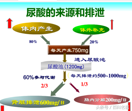 尿素正常值是多少，尿素蛋白正常值是多少（教你4招看懂肾功能化验单）