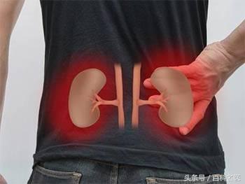 尿素正常值是多少，尿素蛋白正常值是多少（教你4招看懂肾功能化验单）