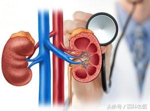 尿素正常值是多少，尿素蛋白正常值是多少（教你4招看懂肾功能化验单）