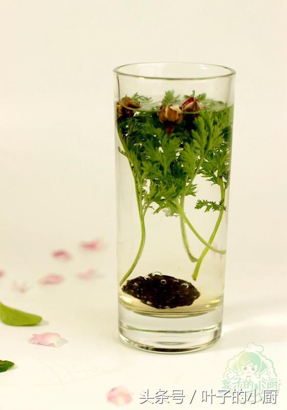 苦蒿泡水功效有哪些，苦蒿泡水功效有哪些好处（碰到一定要采回家）