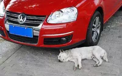 遇到碰瓷讹人的怎么办,遇见碰瓷讹人的怎么办(5招告诉你如何应付碰瓷党) 遇到碰瓷讹人的怎么办,遇见碰瓷讹人的怎么办(5招告诉你如何应付碰瓷党)