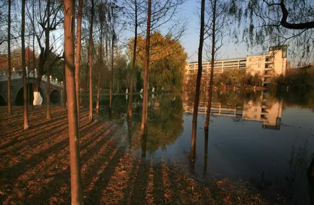 浙江大学紫金港校区，浙大紫金港校区最新消息（组图回顾浙大紫金港校区前世今生）