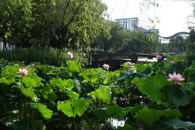 浙江大学紫金港校区，浙大紫金港校区最新消息（组图回顾浙大紫金港校区前世今生）