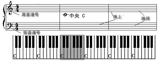 五線譜分組的3個基本要素你還會發現,上圖中的白鍵上有規律地標註著