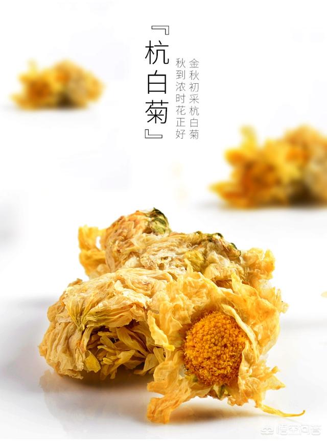 杭菊和杭白菊的功效，杭白菊和白菊花的功效（夏季养生花茶贡菊、胎菊、杭白菊如何挑选）