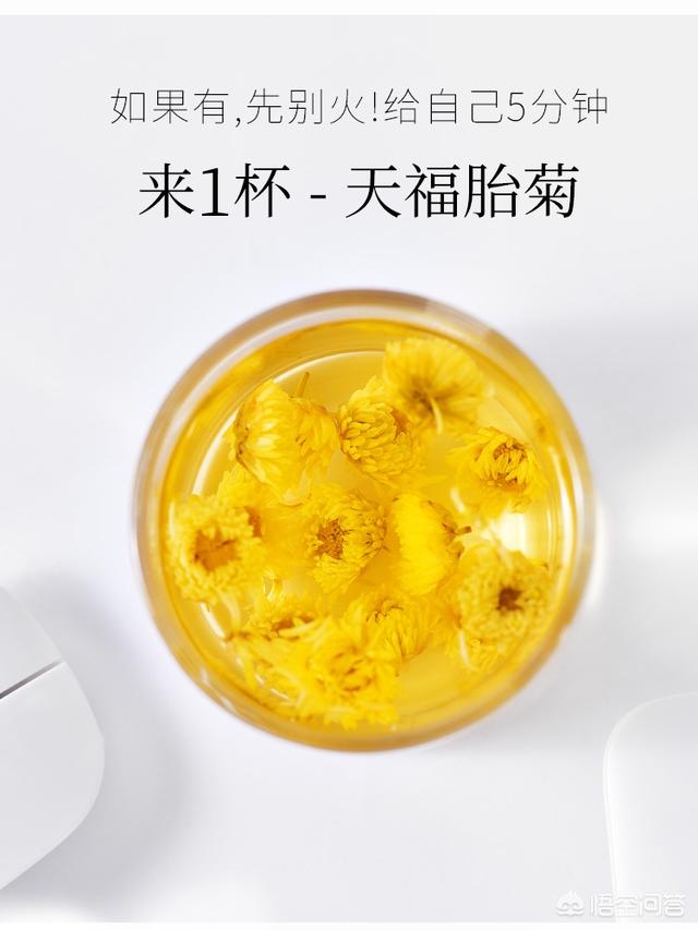 杭菊和杭白菊的功效，杭白菊和白菊花的功效（夏季养生花茶贡菊、胎菊、杭白菊如何挑选）