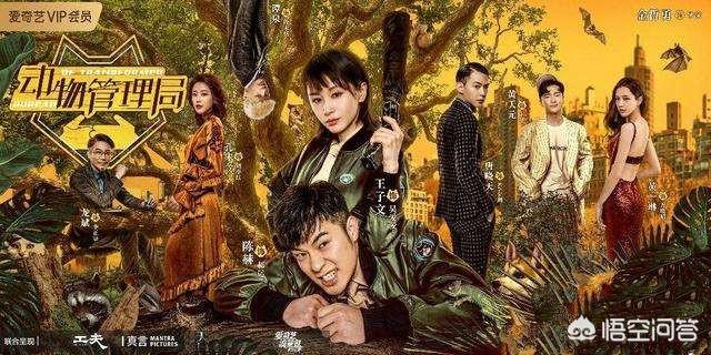动物管理局第二季，动物管理局第二季出了没有（由陈赫、王子文主演的《动物管理局》结束了）