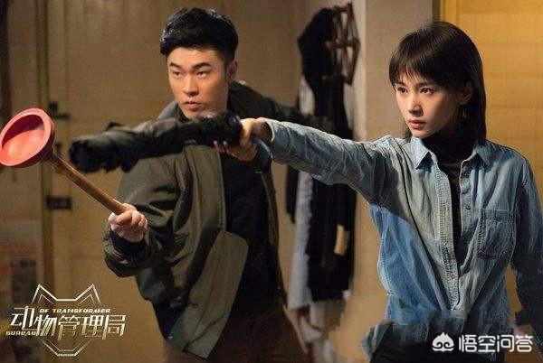动物管理局第二季，动物管理局第二季出了没有（由陈赫、王子文主演的《动物管理局》结束了）