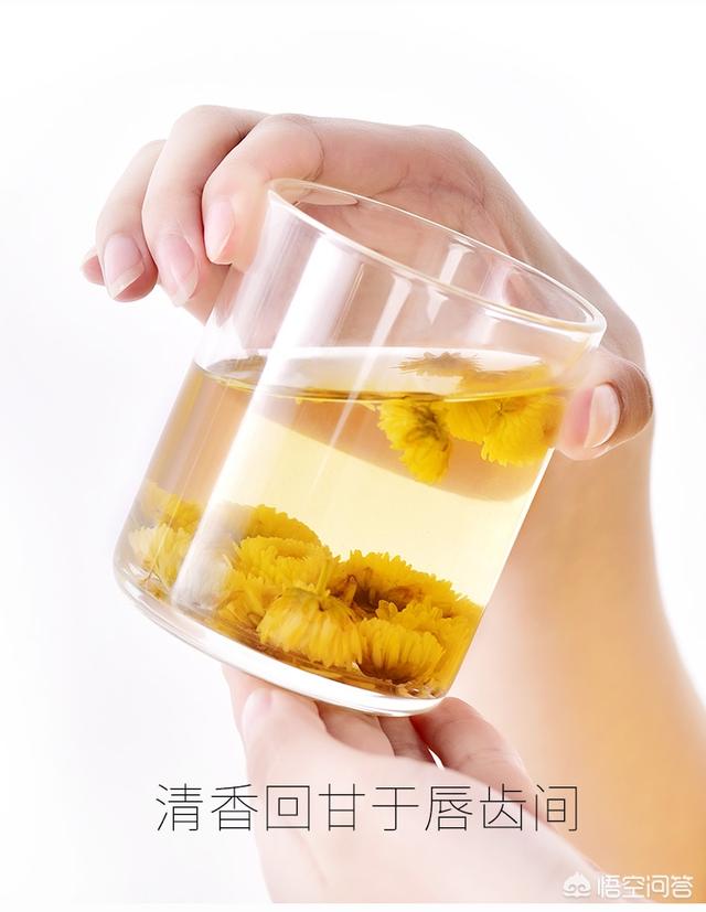 杭菊和杭白菊的功效，杭白菊和白菊花的功效（夏季养生花茶贡菊、胎菊、杭白菊如何挑选）