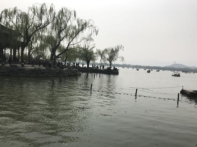 有表邪者慎用是什么意思，表邪者忌用是什么意思（可不是人人都适合吃）