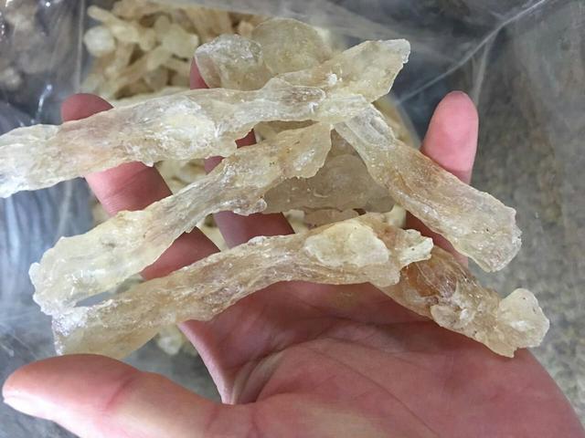 雪燕多少钱一斤，雪燕产地哪里产的好（树上流出的“雪燕”是什么东西）