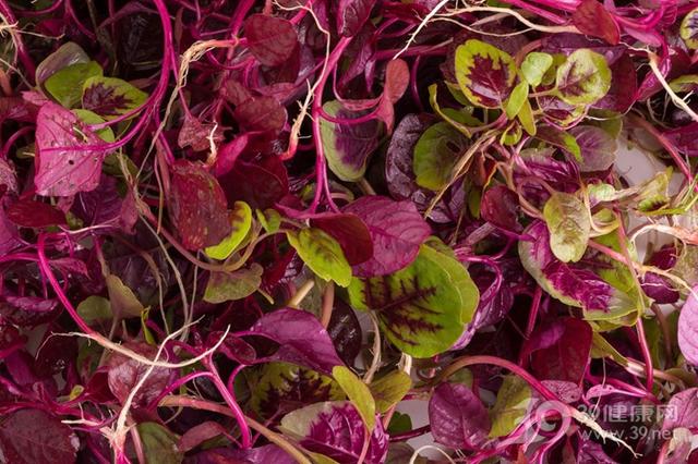 长寿菜是什么菜，长寿菜是什么菜台湾（3块一把的它是“长寿菜”）