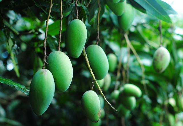 韬光养晦是什么意思，人到中年，要学会韬光养晦（韬光养晦是什么意思?在古代是什么意思）