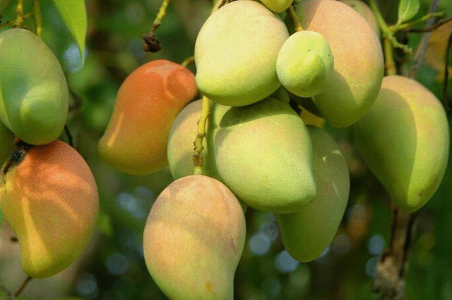 韬光养晦是什么意思，人到中年，要学会韬光养晦（韬光养晦是什么意思?在古代是什么意思）