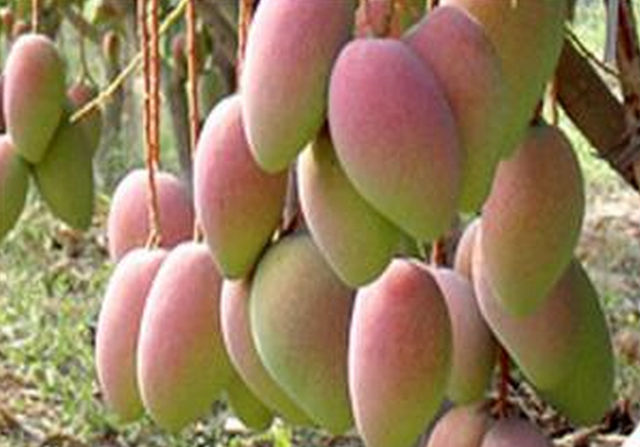 韬光养晦是什么意思，人到中年，要学会韬光养晦（韬光养晦是什么意思?在古代是什么意思）