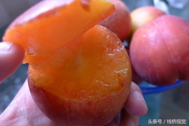 桃驳李是油桃吗,桃布李是油桃吗(长得像李子又像桃不过浑身油滑没有毛) 桃驳李是油桃吗,桃布李是油桃吗(长得像李子又像桃不过浑身油滑没有毛)