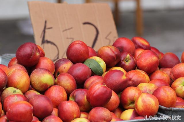 桃驳李是油桃吗,桃布李是油桃吗(长得像李子又像桃不过浑身油滑没有毛) 桃驳李是油桃吗,桃布李是油桃吗(长得像李子又像桃不过浑身油滑没有毛)