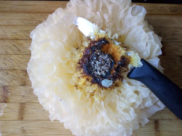 皂角米是什么东西，为什么皂角米是甜的（这个米250元一斤）