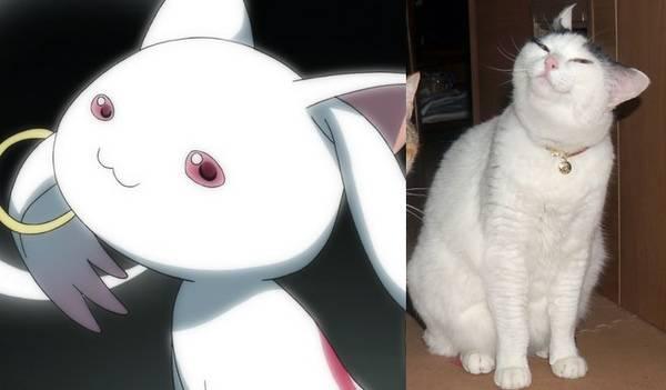 新房45度人能做出来吗（动画中魔性的回头动作）