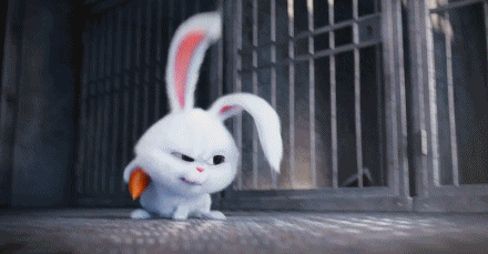 周星驰属什么生肖，属虎的男明星（十二生肖性格特点和名人大全）